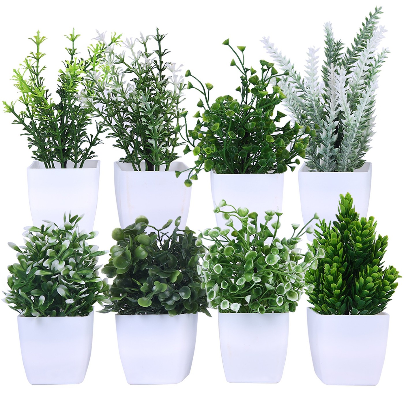 Mini Potted Greens, Set of 8 — Classic