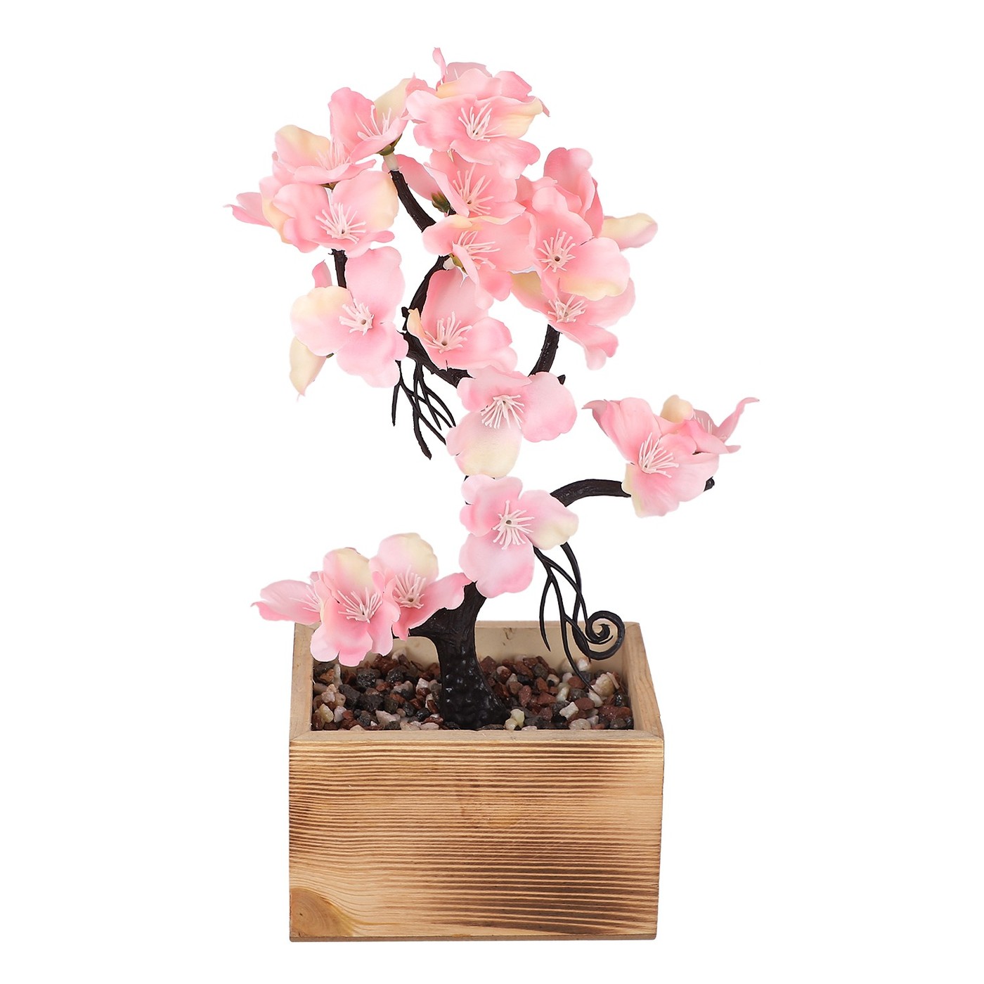 Cherry Blossom Bonsai